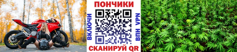 Марихуана Ganja  Купить закладки  Вилюйск 